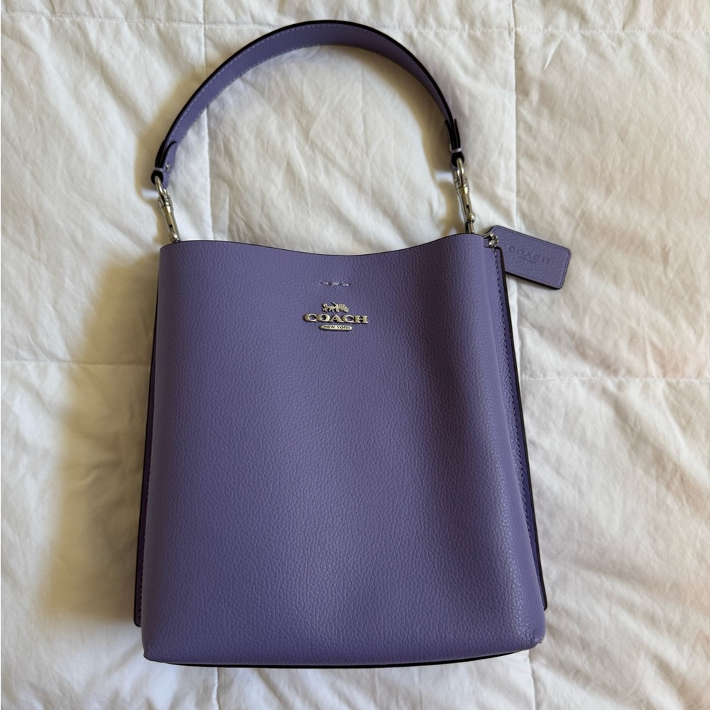 COACH Mollie Bucket Bag 22